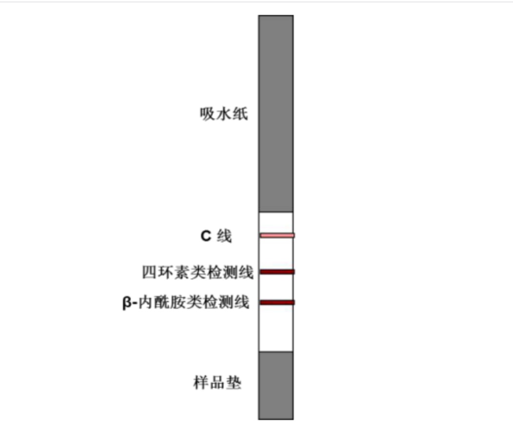 四環(huán)素類+β-內(nèi)酰胺類抗生素檢測(cè)試紙條.jpg